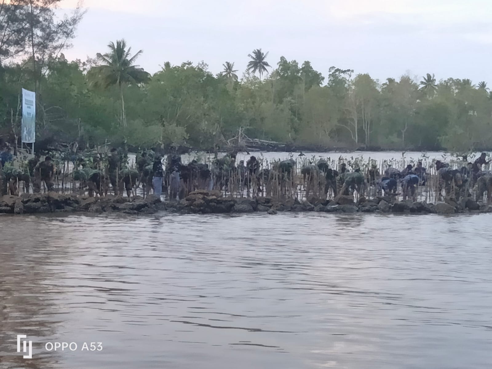 Read more about the article Kegiatan Penanaman Mangrove Nasional di Pantai Lamaru Balikpapan