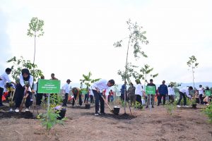 Read more about the article Hijaukan IKN, Masyarakat Tanam Pohon Bersama Presiden