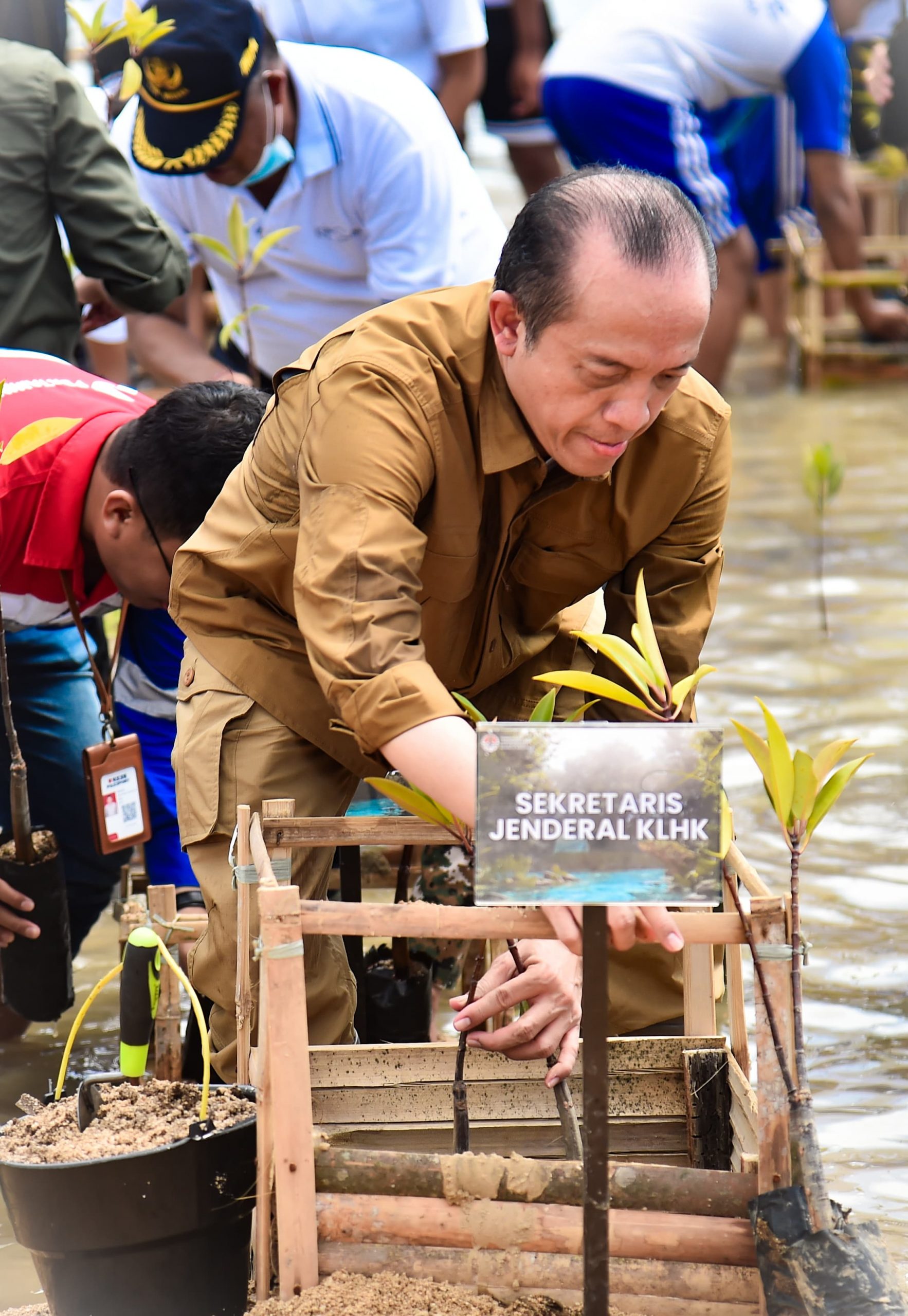 Read more about the article Sekjen KLHK Pimpin Tanam Mangrove di Bali